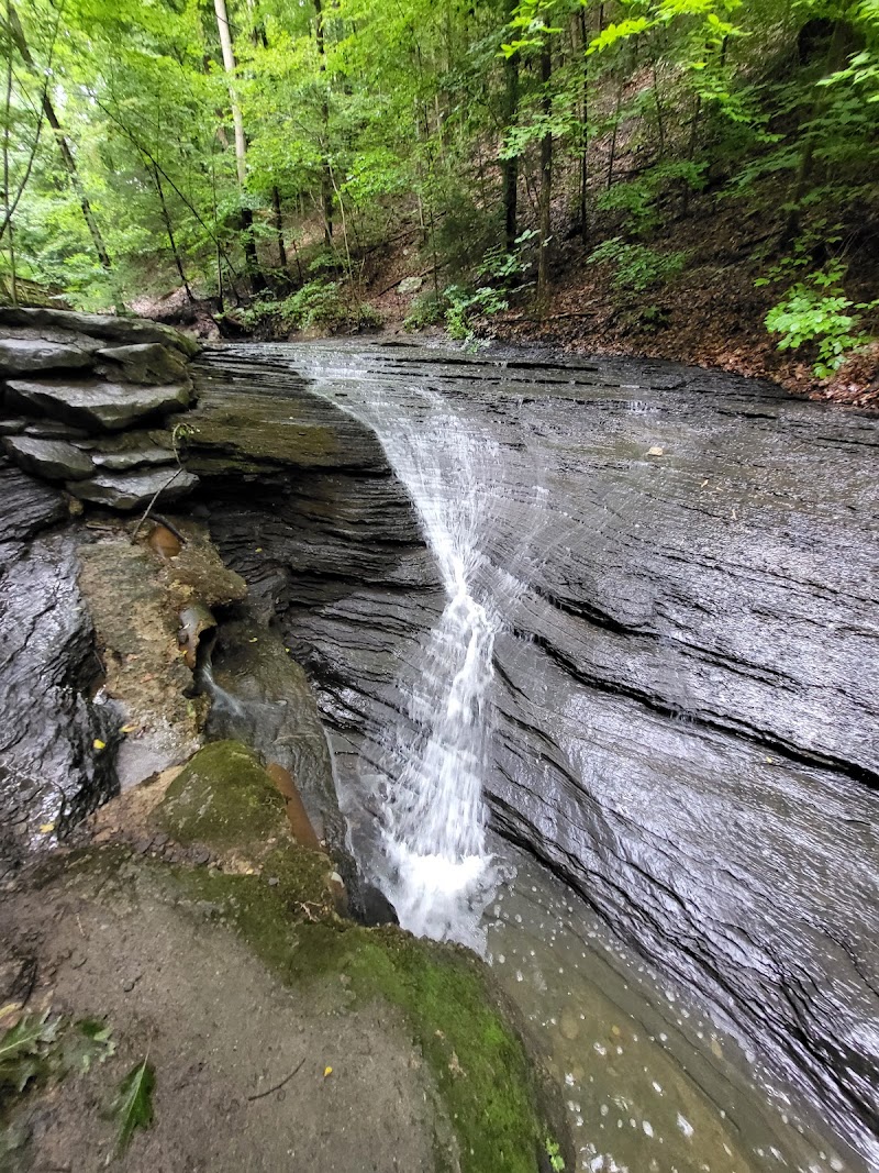 Fall Run Park