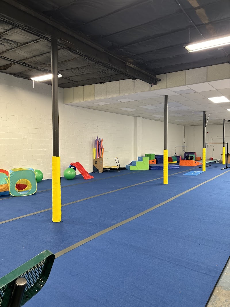 EDGE Kids Gym — Indoor Gymnastics in Louisville