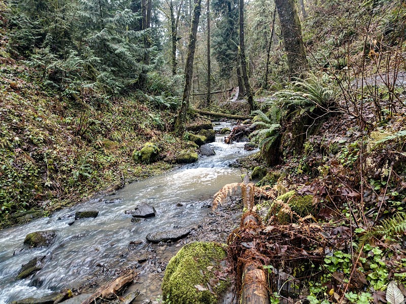 Macleay Park