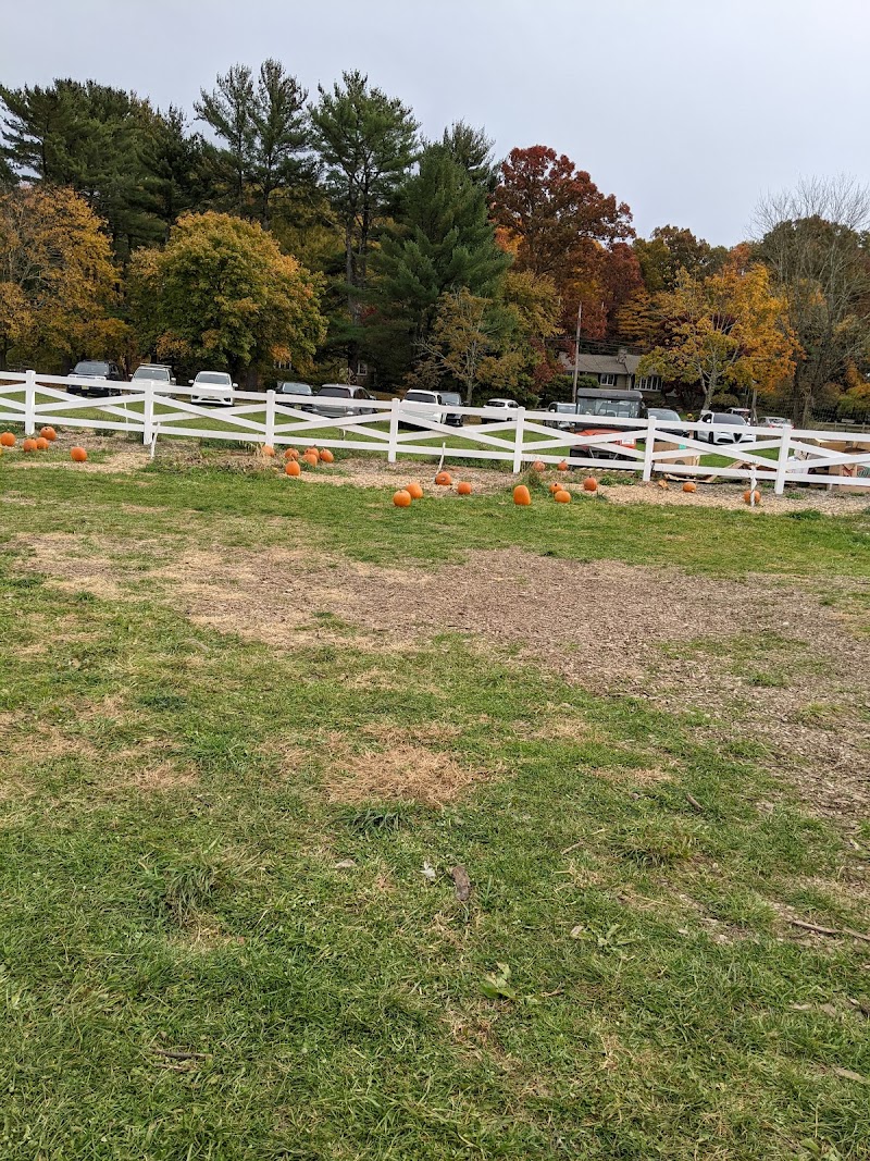 Brookhollow's Barnyard
