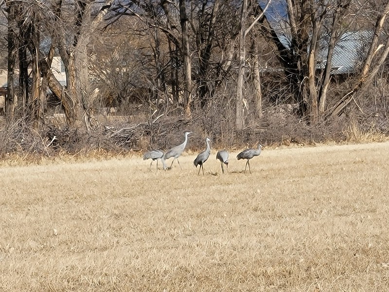 Los Poblanos Fields Open Space — Hiking with Kids in Albuquerque