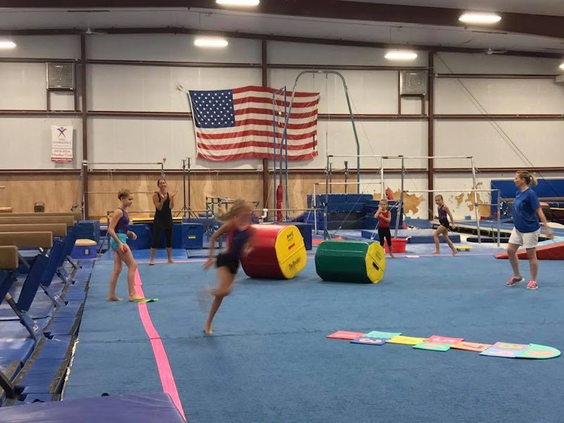 Dave's Gymnastics Factory — Indoor Gymnastics in Kansas City