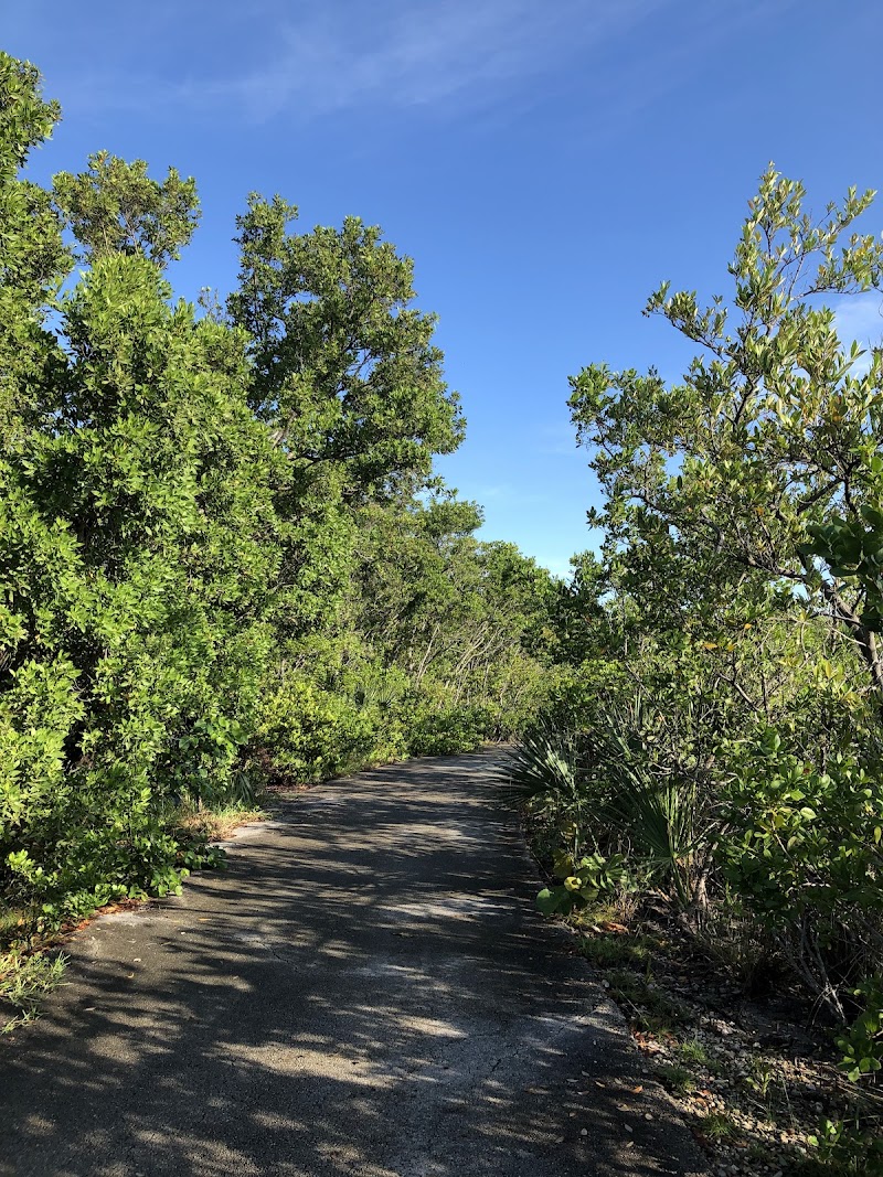 Bear Cut Nature Trail — Hiking with Kids in Miami