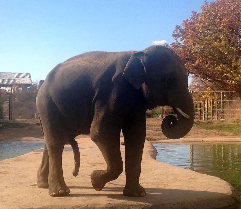Monkey Island — Petting Zoos in Denver