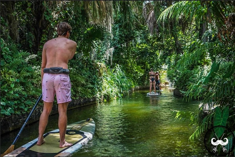Surfari Willys Paddleboarding