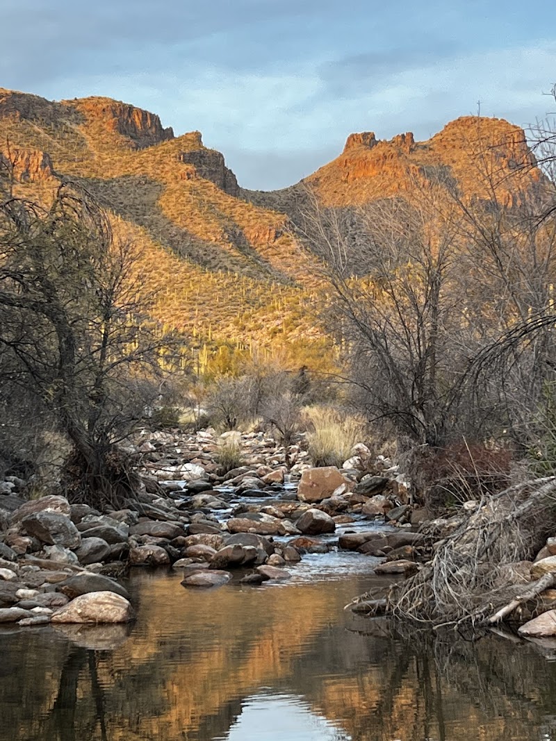 Bear Canyon Trailhead — Hiking with Kids in Tucson