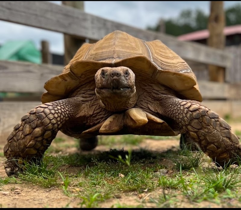 That Turtle Place
