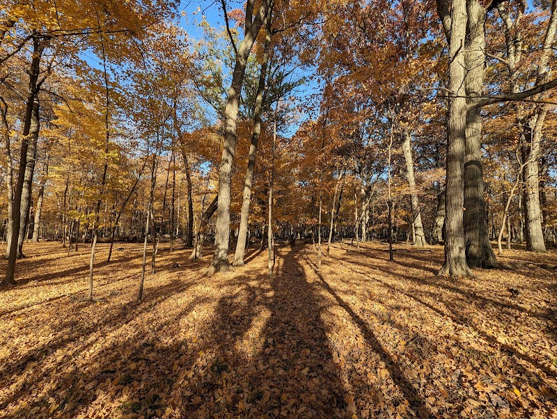 Schiller Woods-South — Hiking with Kids in Chicago