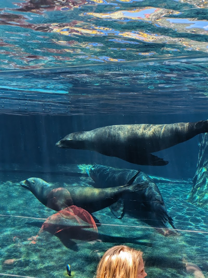 Stingray Bay — Petting Zoos in Columbus