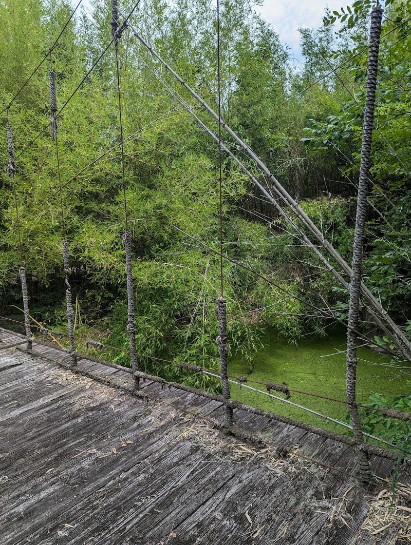 Old Nashville Zoo — Petting Zoos in Nashville
