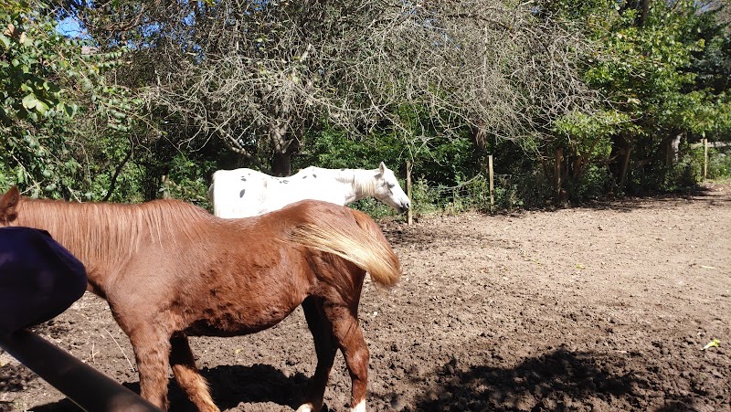 Hidden Hollow Orchard — Petting Zoos in Louisville