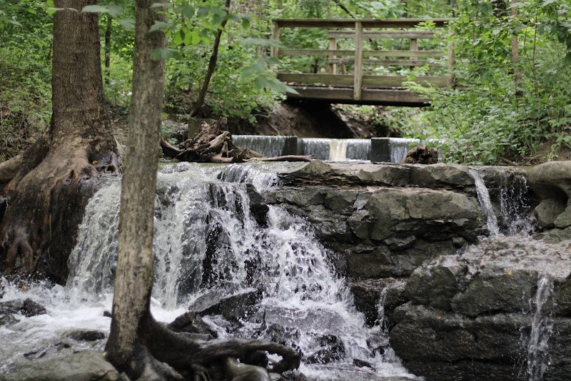 Parkville Nature Sanctuary