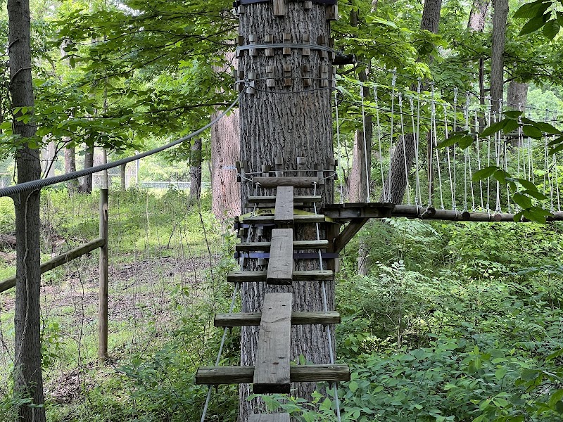 Treetop Quest Philly — Spring Break Activities in Philadelphia