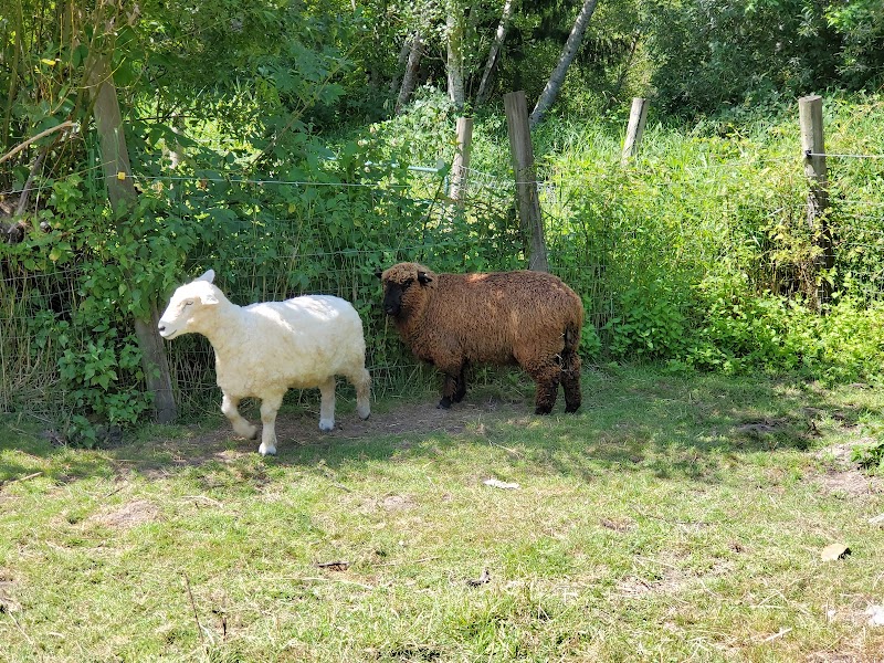 Wildwood Ranch