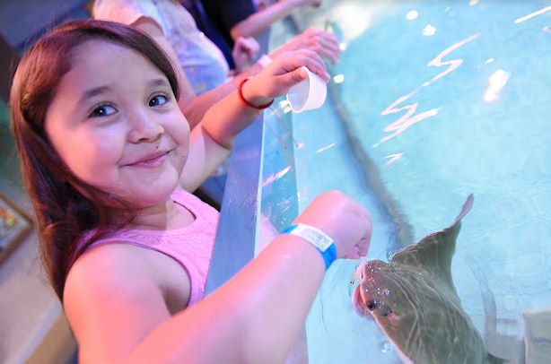 SeaQuest Woodbridge