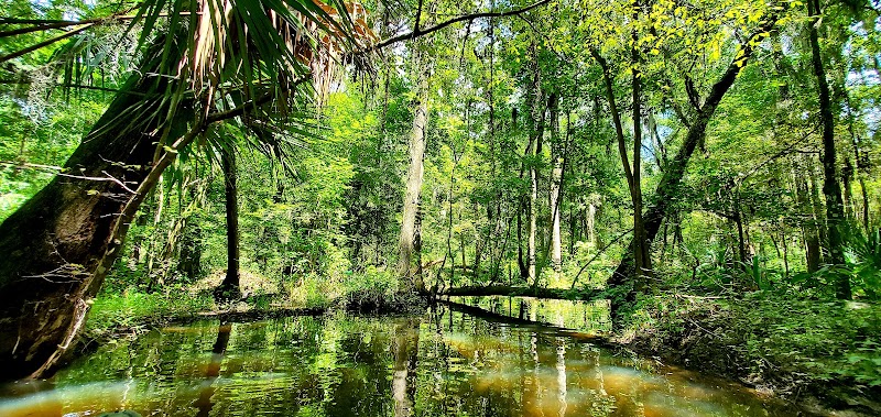 Alejandro Garces Camp kayak launch — Kayaking for Kids in Jacksonville