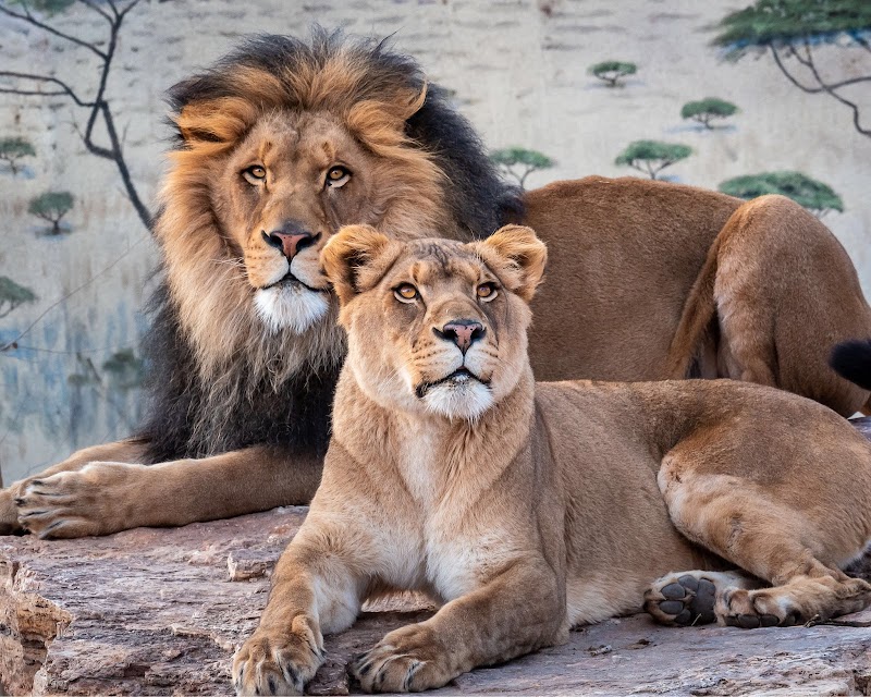 ABQ BioPark Zoo