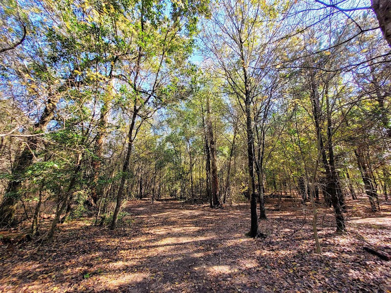Lorraine Cherry Nature Preserve — Hiking with Kids in Houston