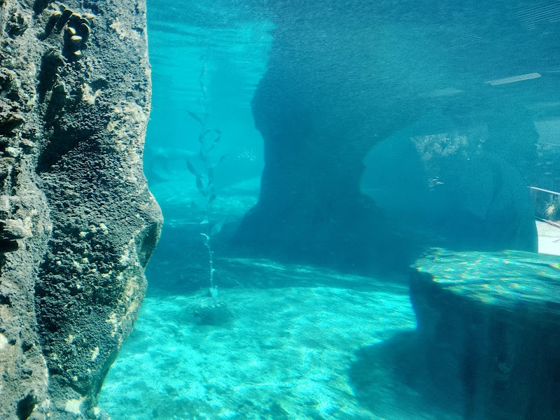 Sea Lion Cove — Petting Zoos in Fresno