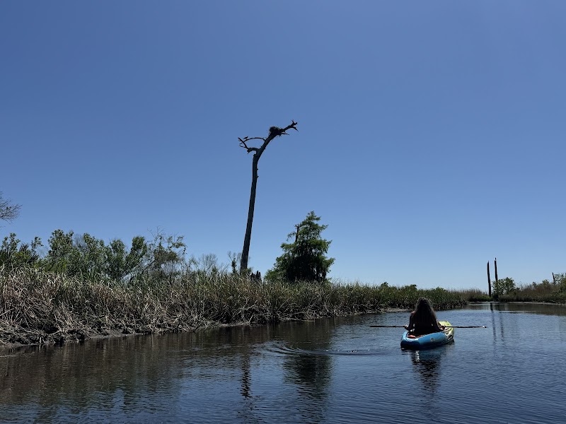 Bayou Adventure - Fountainebleau State Park