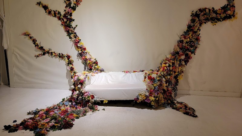 Dreamscapes
