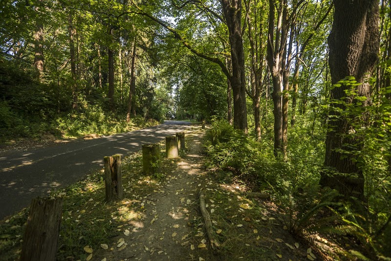 Frink Park — Hiking with Kids in Seattle