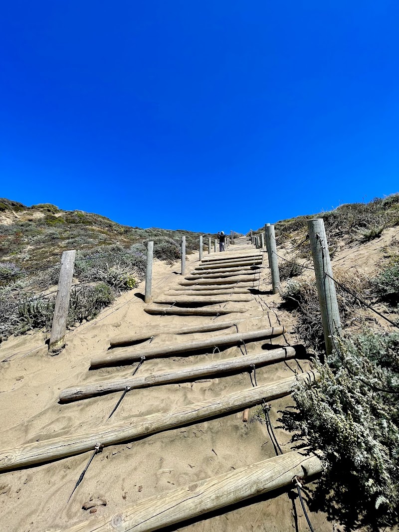 Sand Ladder