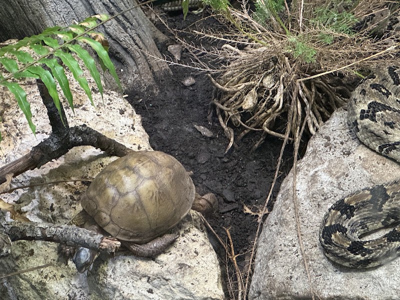 Reptile House