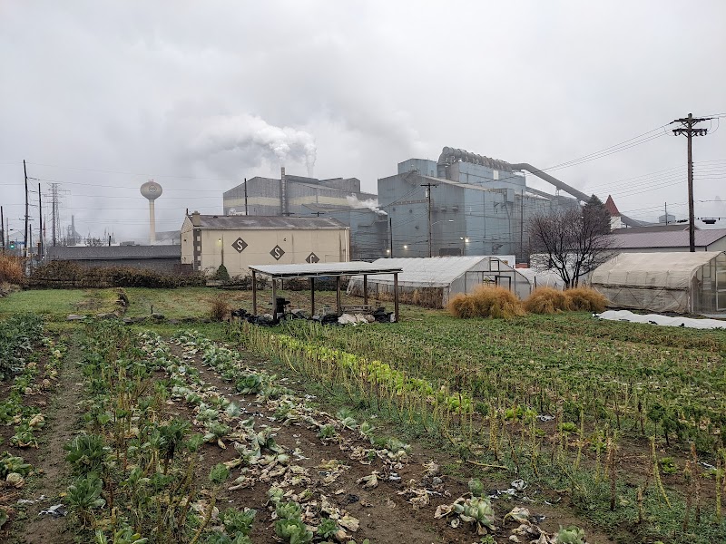 Braddock Farms - Grow Pittsburgh