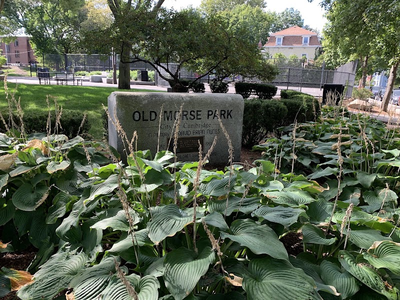 Old Morse Park