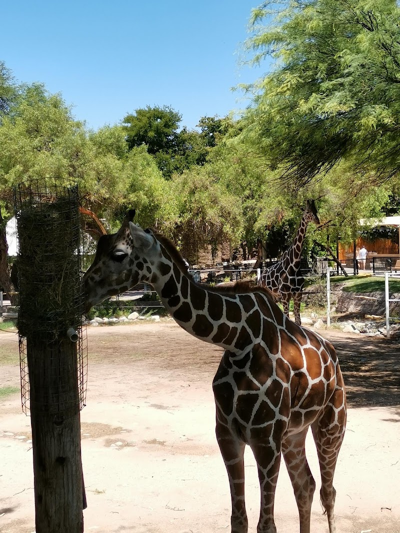 Reid Park Zoological Society