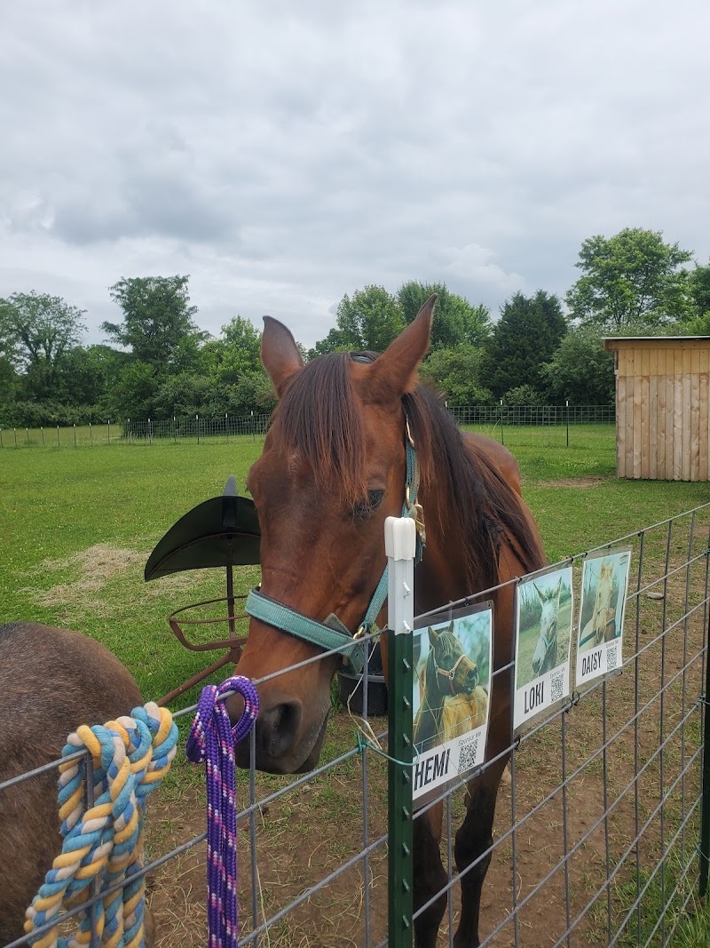 Angels Acres Mooresville — Petting Zoos in Indianapolis