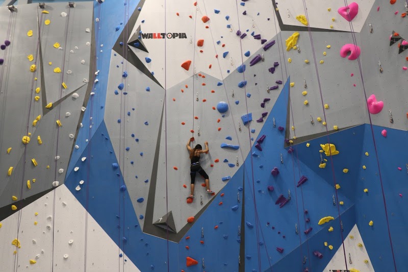 Memphis Rox Climbing + Community — Climbing Gyms in Memphis