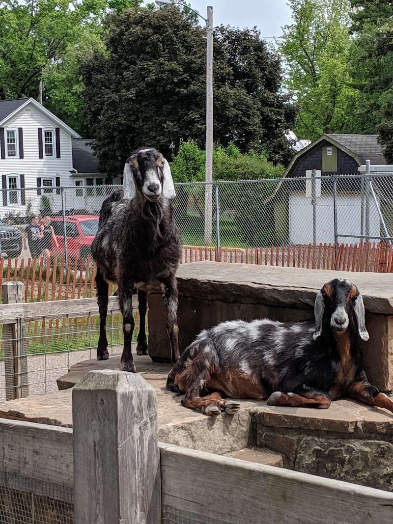Ochsner Park Zoo