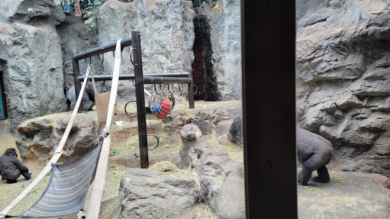 Buffalo Zoo Education Department