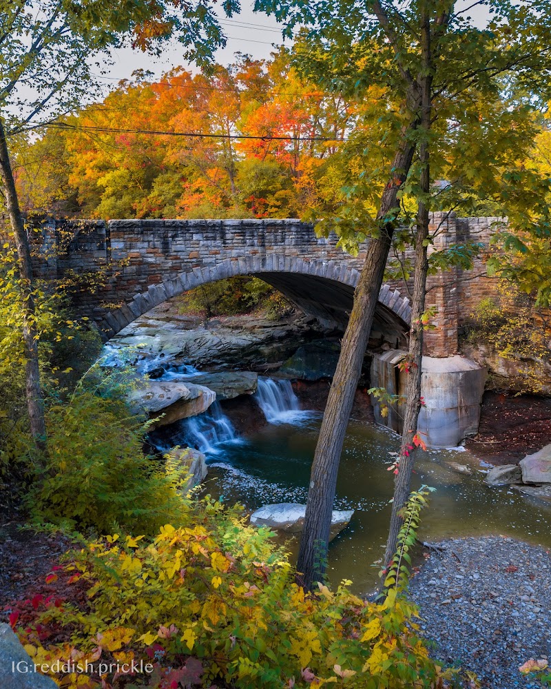 Chippewa Creek Gorge Scenic Overlook