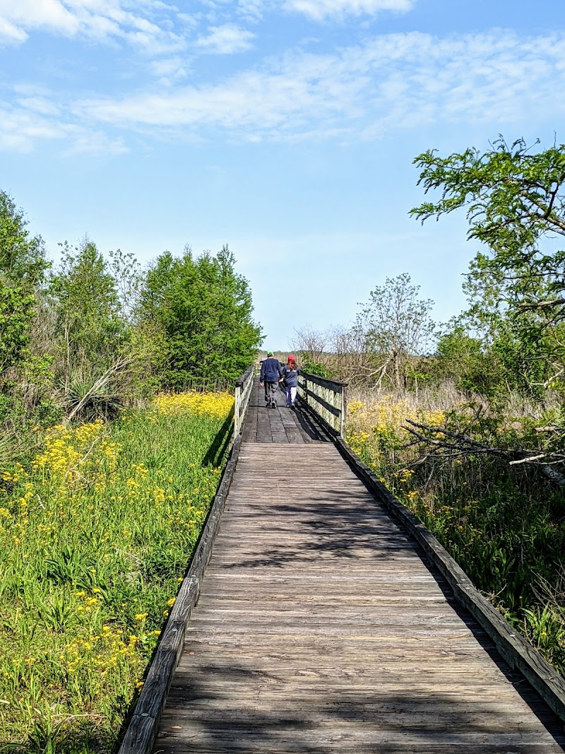 Bayou Sauvage NWR Ridge Trail & Boardwalk