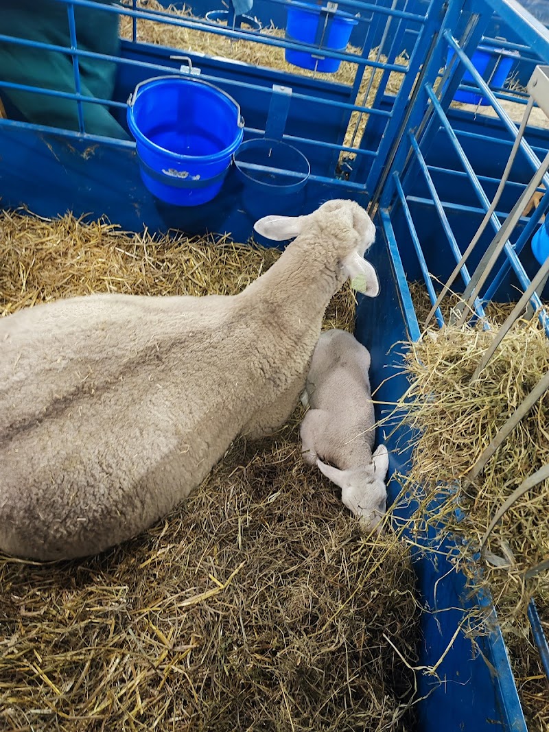 Minnesota State Fair Miracle of Birth Building
