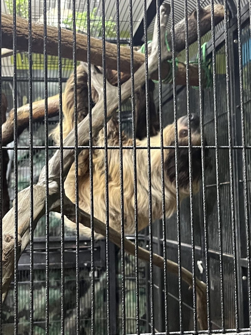 The Wildlife Conservation & Education Center — Petting Zoos in New York