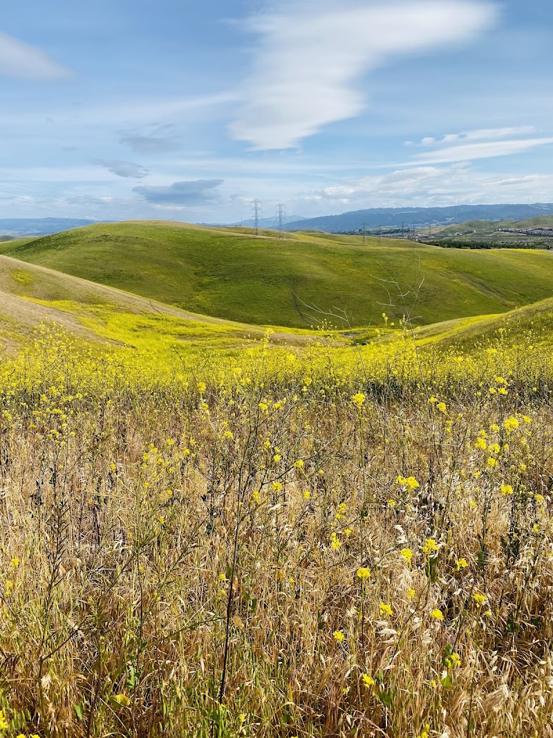 Dougherty Valley Ridge Trail — Hiking with Kids in San Ramon