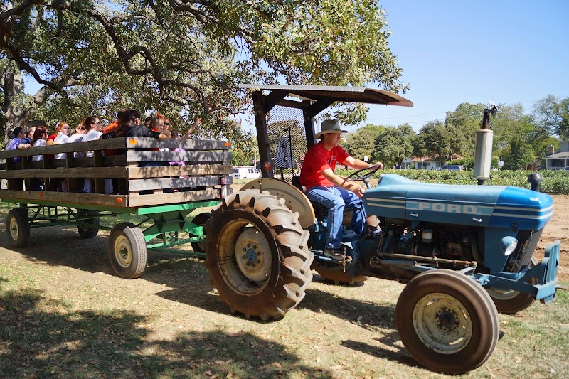 Nash Farm