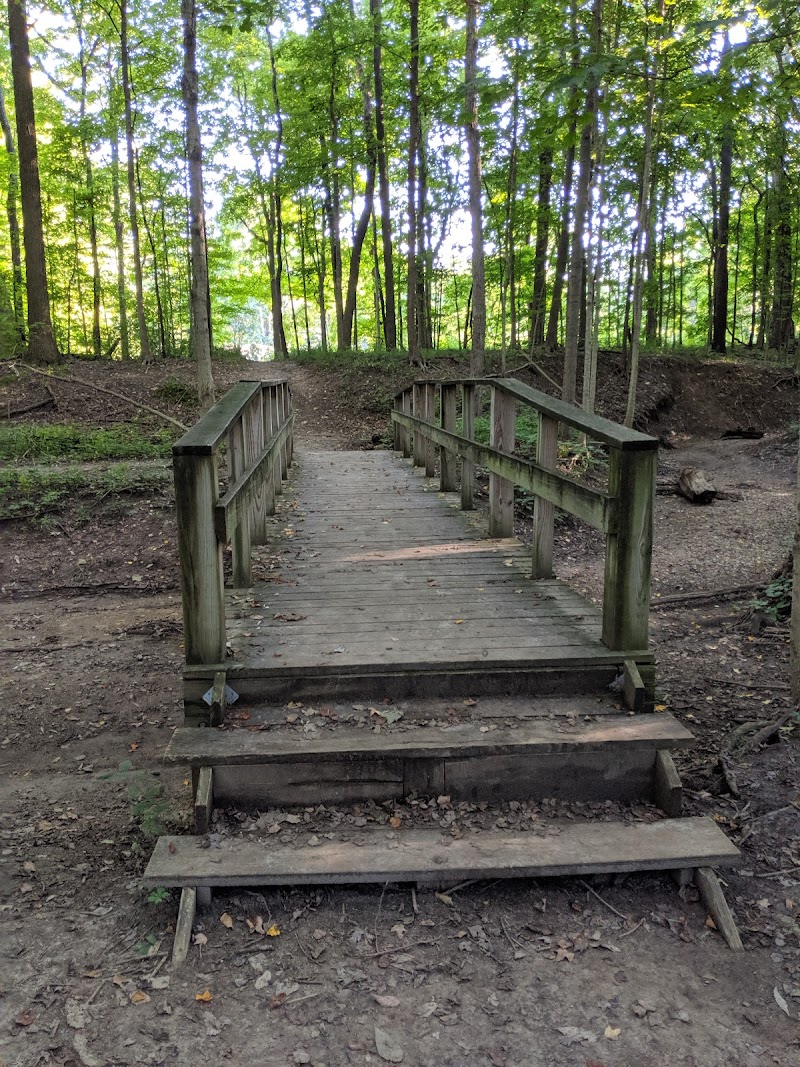 Marott Woods Nature Preserve