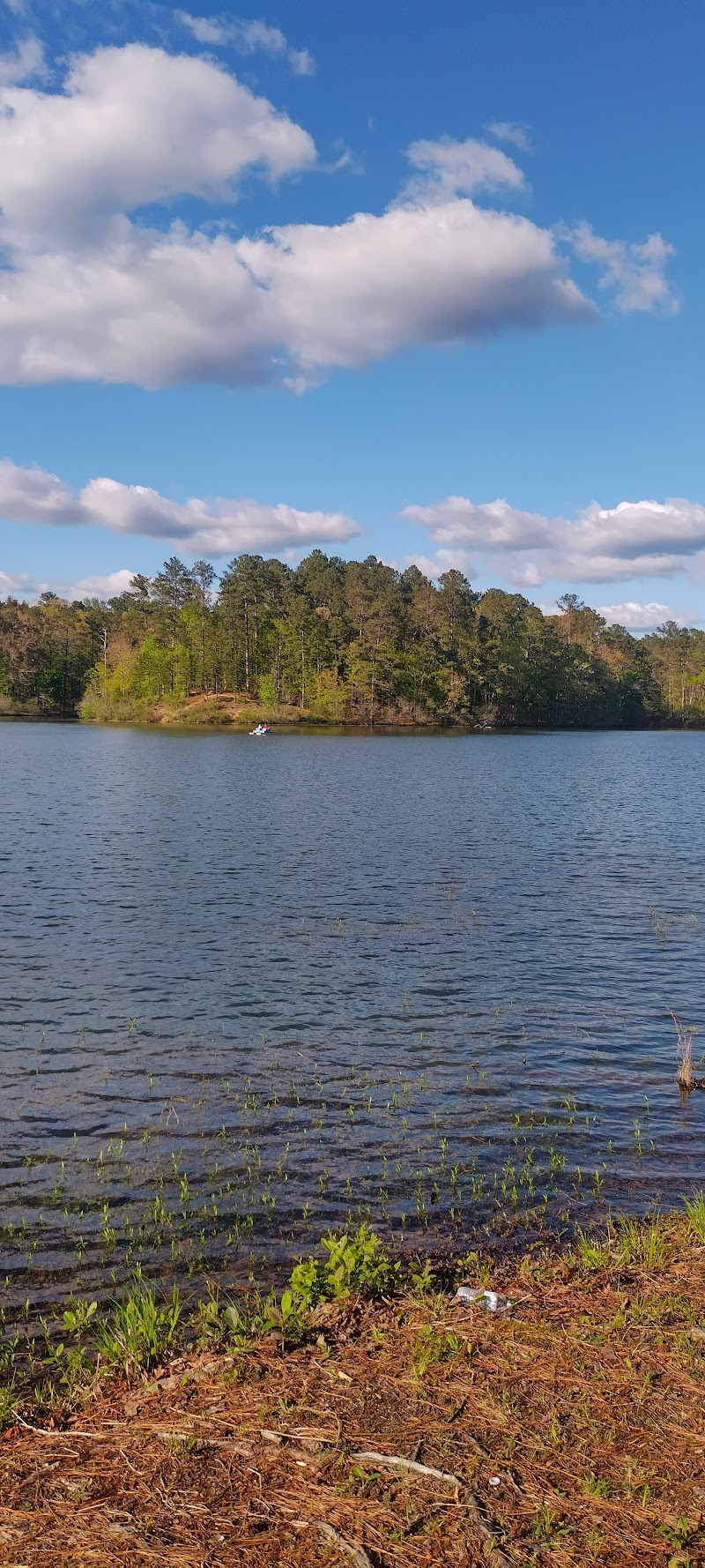 Oak Mountain Marina — Kayaking for Kids in Birmingham