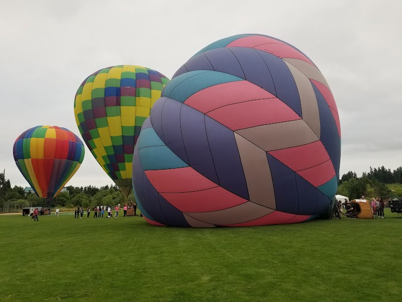 Festival Of Balloons
