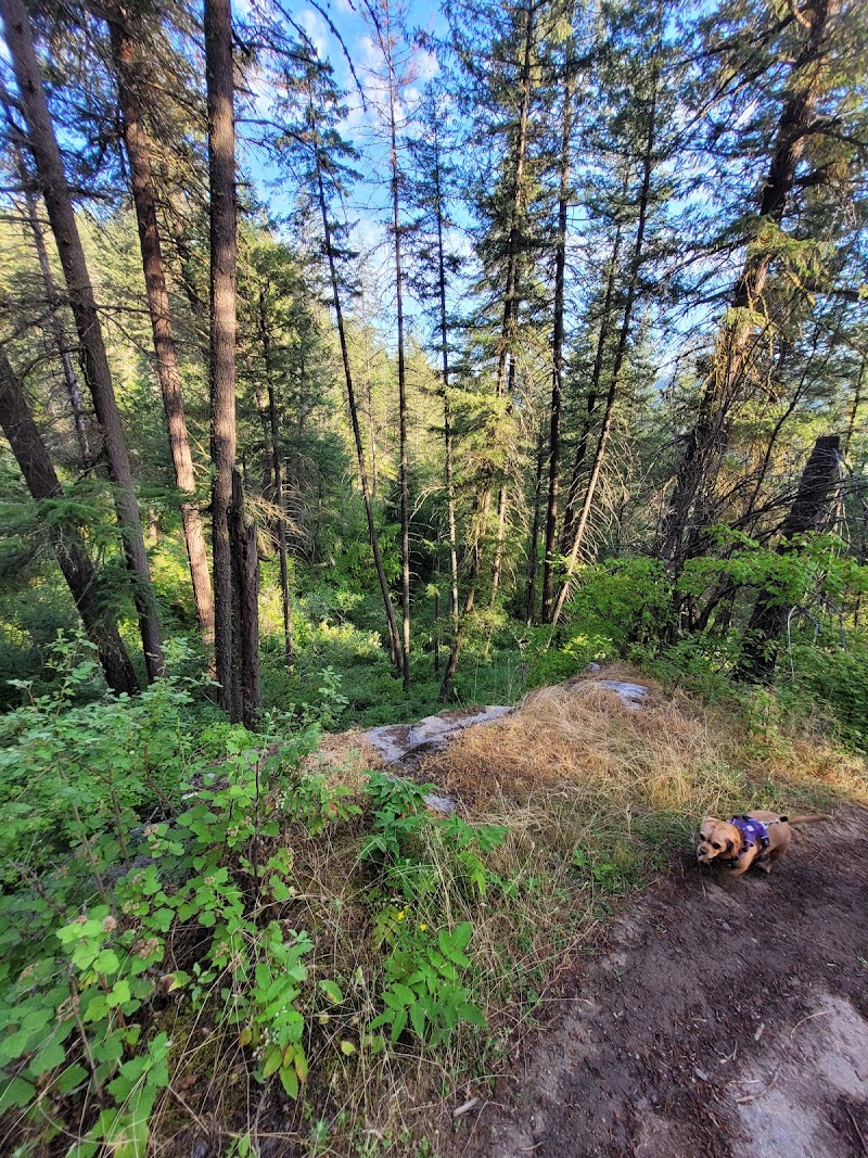 Little Spokane River Natural Area Uphill Trail