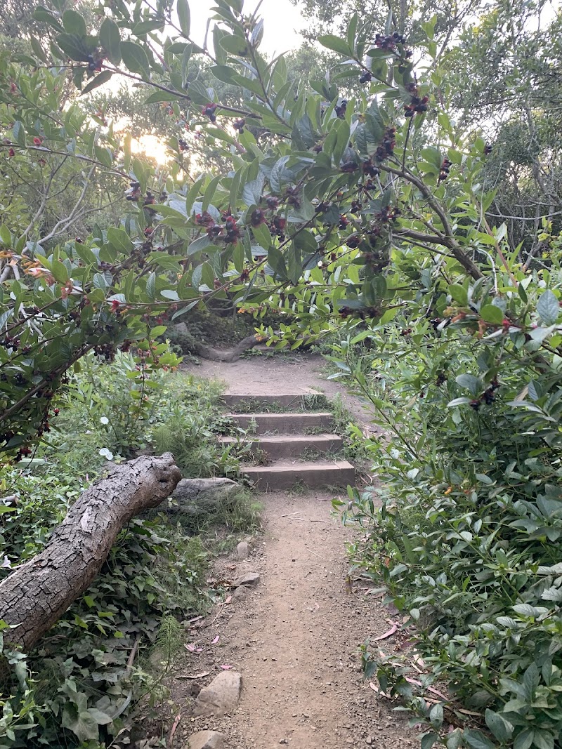 Glen Canyon Creeks to Peaks Trailhead