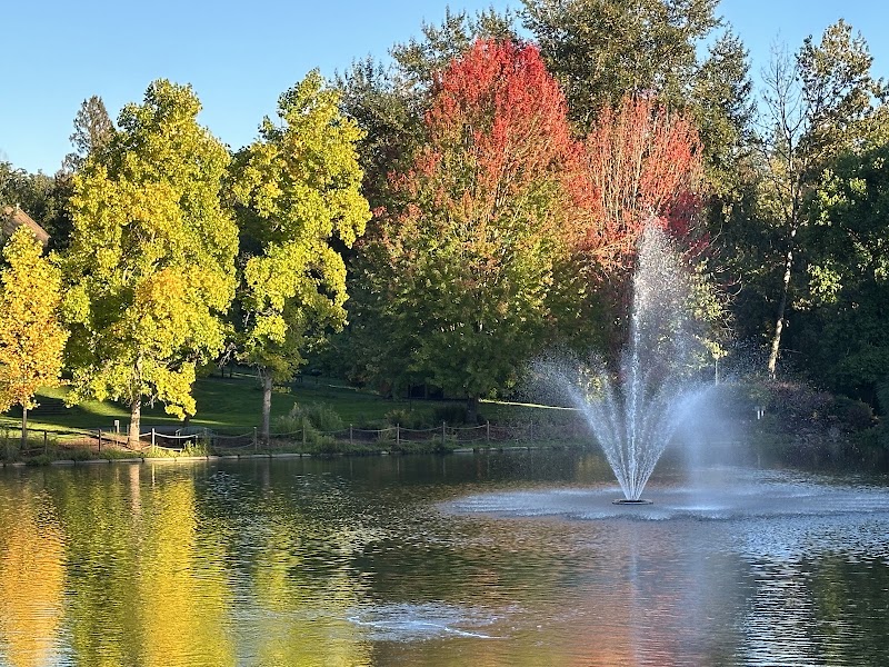 Mill Pond playground