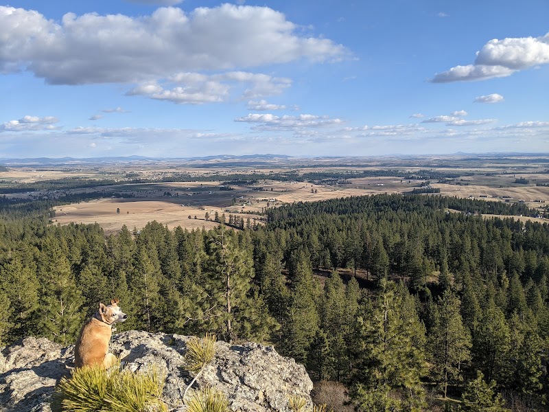 Iller Creek Conservation Area