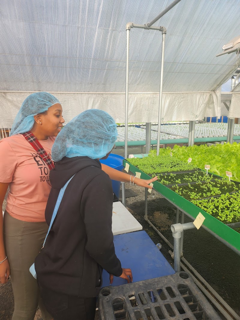 Metropolitan Farms