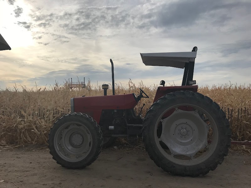 Black Island Farms